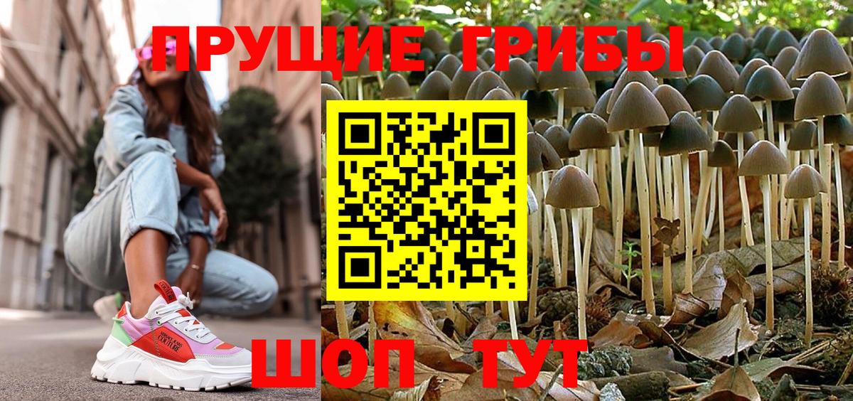 Новотроицк  Галлюциногенные грибы MAGIC MUSHROOMS  Галлюциногенные грибы Psilocybe  Вход с VPN 