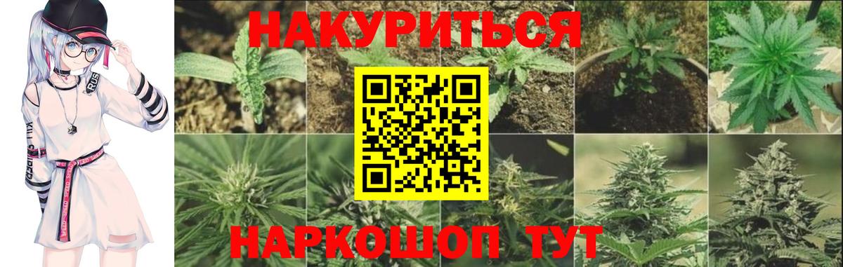 Марихуана OG Kush Новотроицк