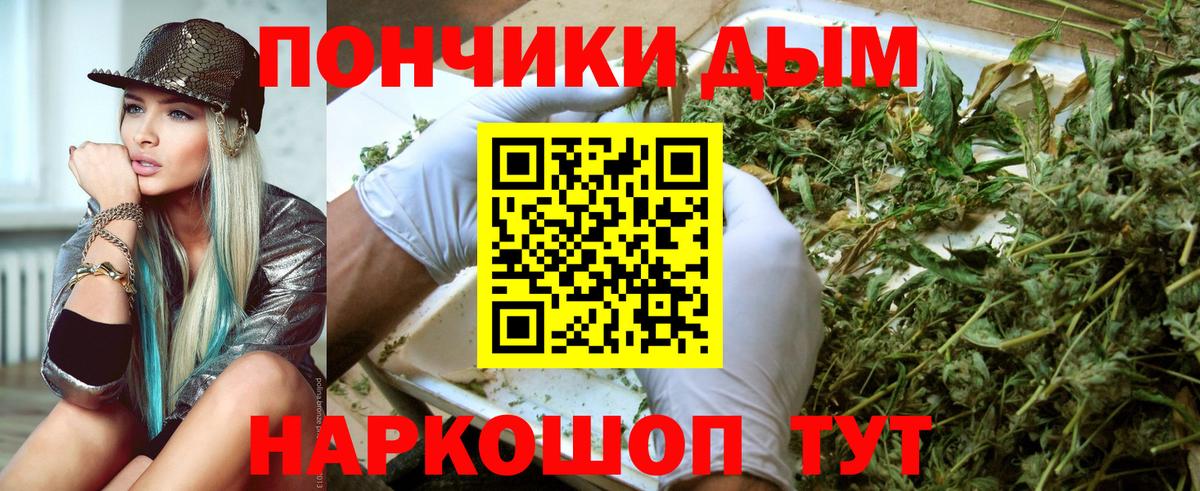 Бошки Шишки планчик  Бошки марихуана OG Kush  Шишки марихуана семена  Марихуана SATIVA & INDICA  Новотроицк  Вход с VPN 